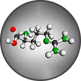 L-Arginine