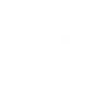 hands-ico