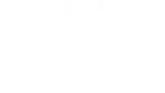 The View
